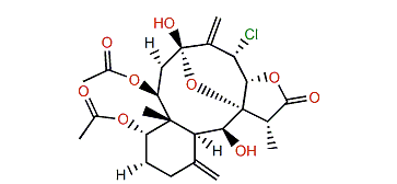 Fragilisinin A